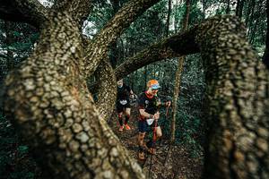 BIB: 
                            <button type="button" onclick="openModal(25393932)" class="btn btn-primary btn-sm float-right btn-popup" data-toggle="modal" data-target=".modal-high-quality">
                        <i class="fas fa-shopping-cart"></i> Add to Cart
                    </button>
                                            <button type="button" onclick="isThisMe(25393932, true)" class="btn btn-success btn-sm float-right btn-popup btn-isme hidden" data-toggle="tooltip" data-placement="bottom" title="นี่คือรูปของคุณใช่ไหม คลิกที่นี่เพื่อเอาเข้าอัลบั้ม">
                        <i class="fas fa-plus"></i> Add to album
                    </button>
                    <button type="button" onclick="isThisMe(25393932, false)" class="btn btn-warning btn-sm float-right btn-popup btn-isnotme hidden">
                        <i class="fas fa-ban"></i> Remove from album
                    </button>